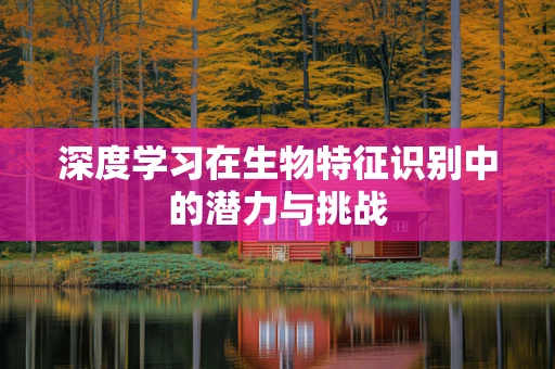 深度学习在生物特征识别中的潜力与挑战