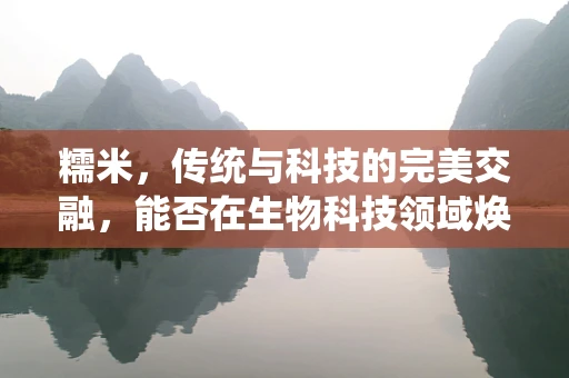 糯米，传统与科技的完美交融，能否在生物科技领域焕发新生？