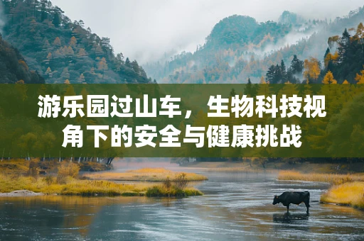游乐园过山车，生物科技视角下的安全与健康挑战