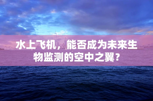 水上飞机，能否成为未来生物监测的空中之翼？