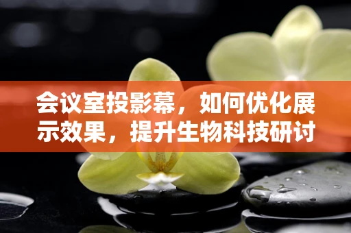 会议室投影幕，如何优化展示效果，提升生物科技研讨效率？