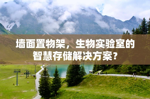 墙面置物架，生物实验室的智慧存储解决方案？