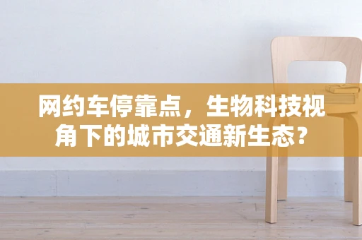 网约车停靠点，生物科技视角下的城市交通新生态？