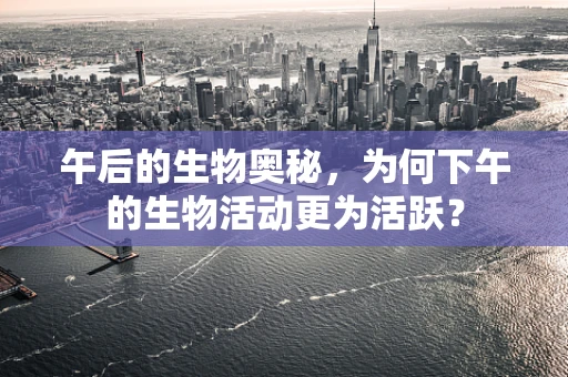午后的生物奥秘，为何下午的生物活动更为活跃？