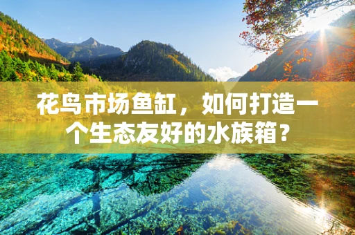 花鸟市场鱼缸，如何打造一个生态友好的水族箱？