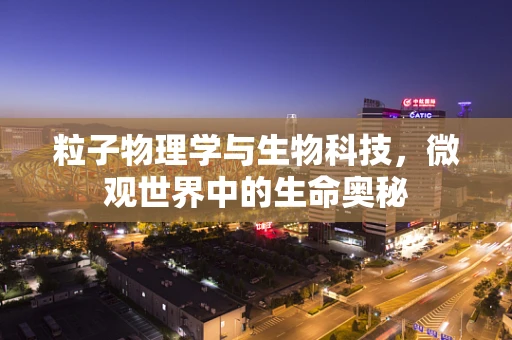 粒子物理学与生物科技，微观世界中的生命奥秘