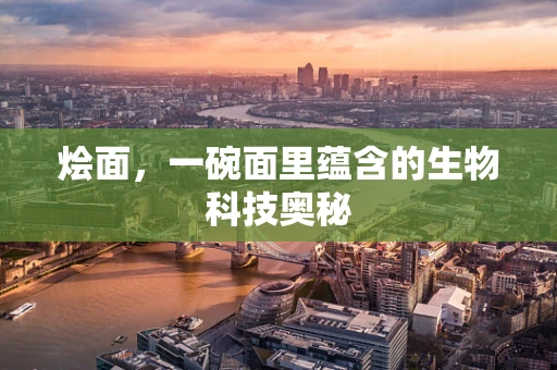 烩面，一碗面里蕴含的生物科技奥秘