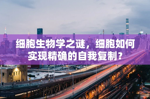 细胞生物学之谜，细胞如何实现精确的自我复制？