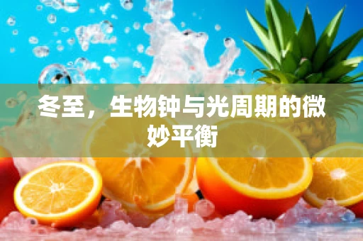 冬至，生物钟与光周期的微妙平衡