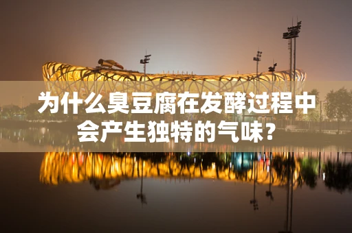 为什么臭豆腐在发酵过程中会产生独特的气味？