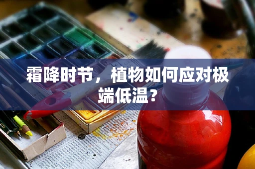 霜降时节，植物如何应对极端低温？