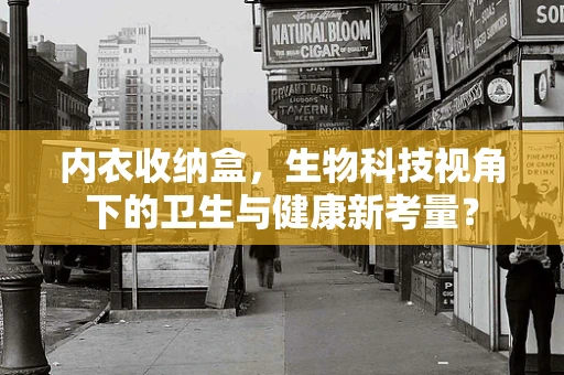 内衣收纳盒，生物科技视角下的卫生与健康新考量？