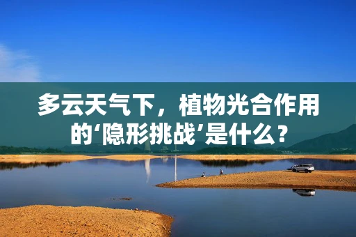 多云天气下，植物光合作用的‘隐形挑战’是什么？