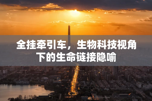 全挂牵引车，生物科技视角下的生命链接隐喻