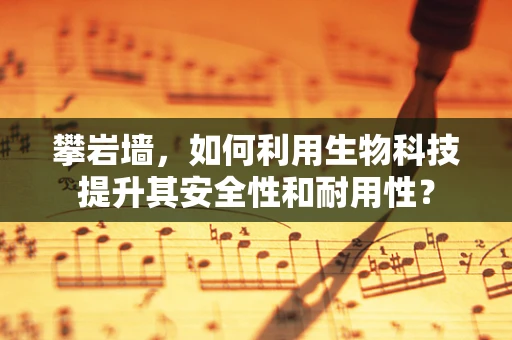 攀岩墙，如何利用生物科技提升其安全性和耐用性？