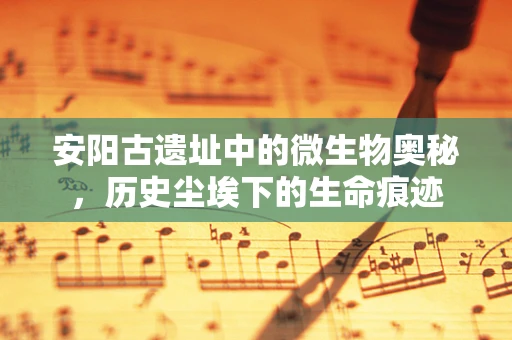 安阳古遗址中的微生物奥秘，历史尘埃下的生命痕迹