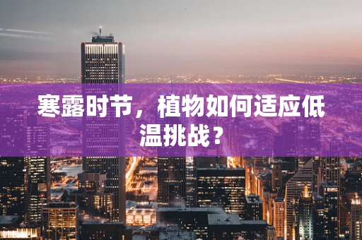 寒露时节，植物如何适应低温挑战？