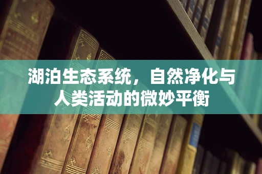 湖泊生态系统，自然净化与人类活动的微妙平衡