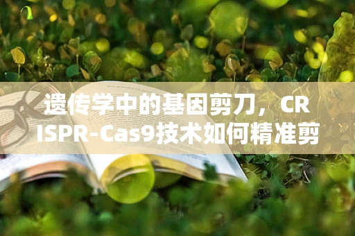 遗传学中的基因剪刀，CRISPR-Cas9技术如何精准剪切遗传信息？