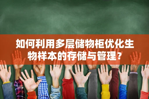 如何利用多层储物柜优化生物样本的存储与管理？