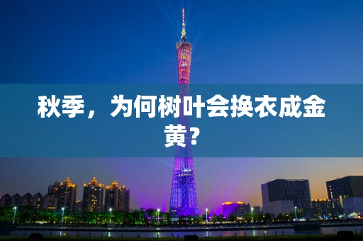 秋季，为何树叶会换衣成金黄？