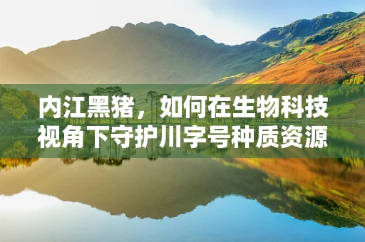 内江黑猪，如何在生物科技视角下守护川字号种质资源？