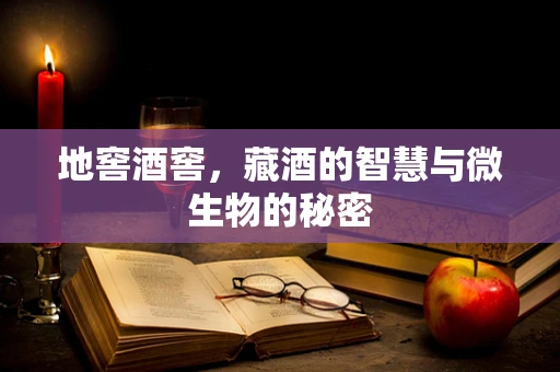 地窖酒窖，藏酒的智慧与微生物的秘密