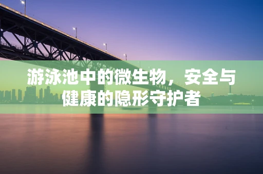 游泳池中的微生物，安全与健康的隐形守护者