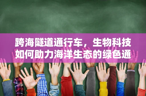 跨海隧道通行车，生物科技如何助力海洋生态的绿色通行？