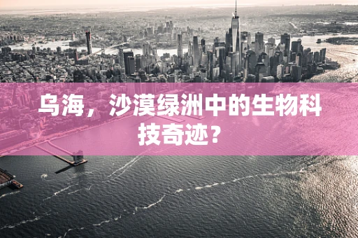 乌海，沙漠绿洲中的生物科技奇迹？