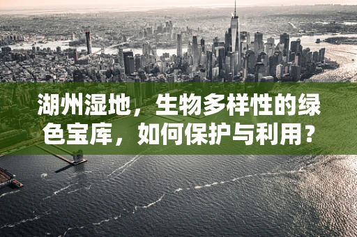 湖州湿地，生物多样性的绿色宝库，如何保护与利用？