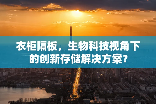 衣柜隔板，生物科技视角下的创新存储解决方案？