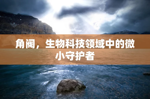 角阀，生物科技领域中的微小守护者