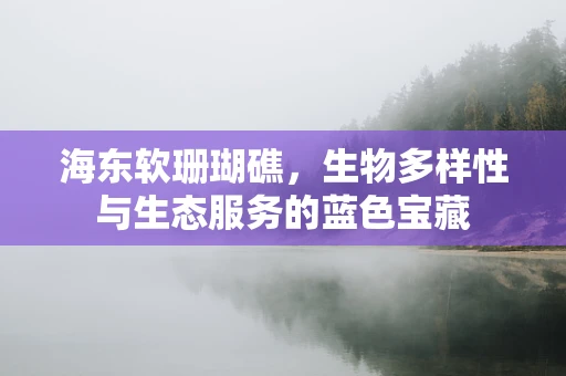 海东软珊瑚礁，生物多样性与生态服务的蓝色宝藏