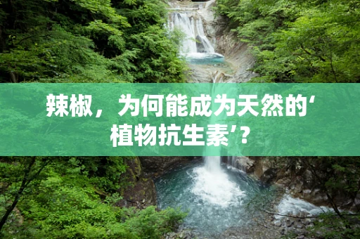 辣椒，为何能成为天然的‘植物抗生素’？