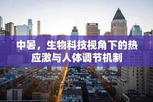 中暑，生物科技视角下的热应激与人体调节机制