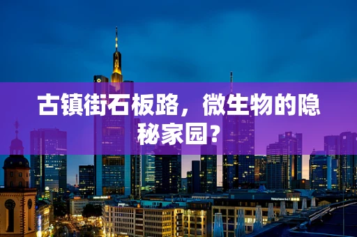 古镇街石板路，微生物的隐秘家园？