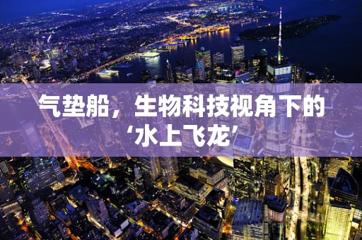 气垫船，生物科技视角下的‘水上飞龙’