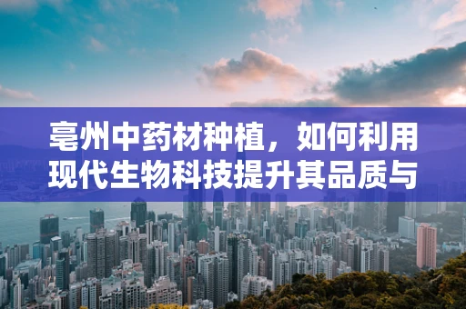 亳州中药材种植，如何利用现代生物科技提升其品质与产量？