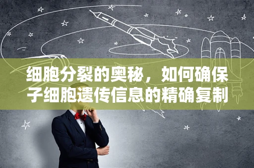 细胞分裂的奥秘，如何确保子细胞遗传信息的精确复制？
