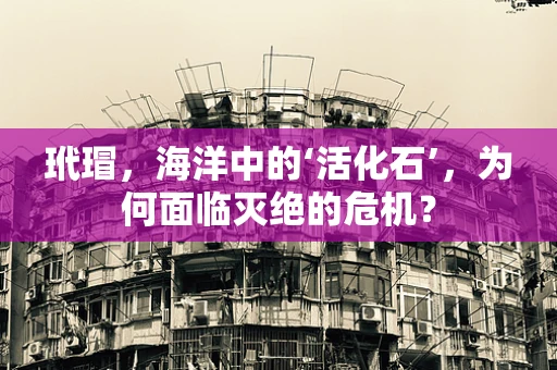 玳瑁，海洋中的‘活化石’，为何面临灭绝的危机？