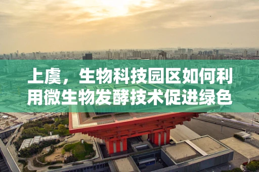 上虞，生物科技园区如何利用微生物发酵技术促进绿色发展？
