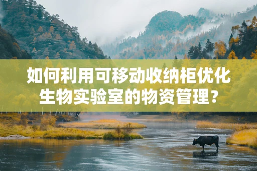 如何利用可移动收纳柜优化生物实验室的物资管理？