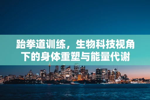 跆拳道训练，生物科技视角下的身体重塑与能量代谢