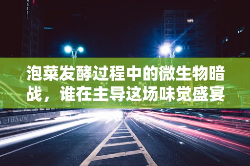泡菜发酵过程中的微生物暗战，谁在主导这场味觉盛宴？
