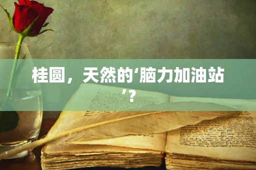 桂圆，天然的‘脑力加油站’？