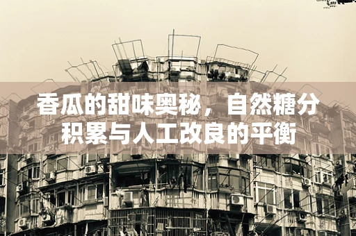 香瓜的甜味奥秘，自然糖分积累与人工改良的平衡