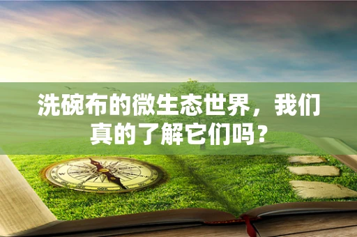 洗碗布的微生态世界，我们真的了解它们吗？
