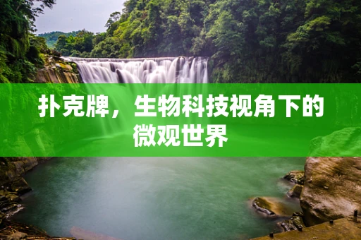 扑克牌，生物科技视角下的微观世界