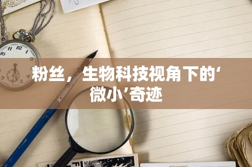 粉丝，生物科技视角下的‘微小’奇迹